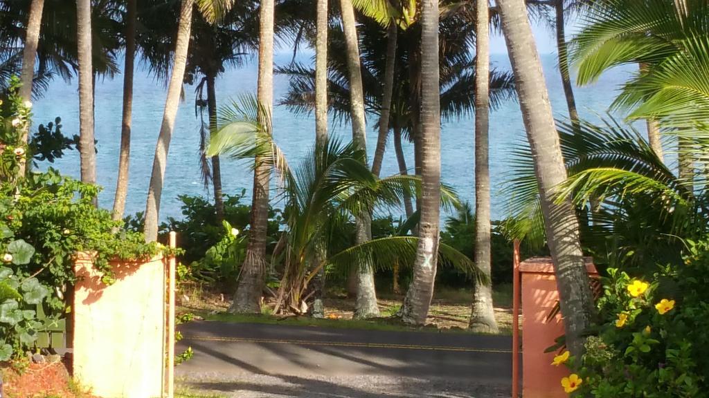 Whale House At Kehena Beach Pahoa Room photo