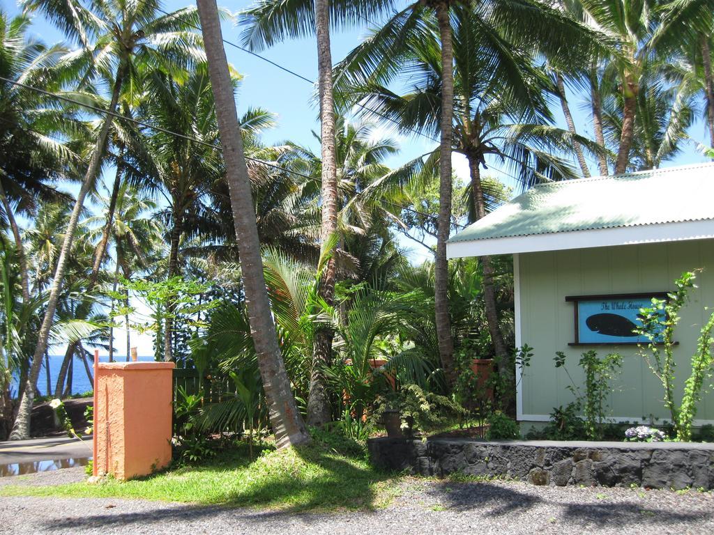 Whale House At Kehena Beach Pahoa Room photo